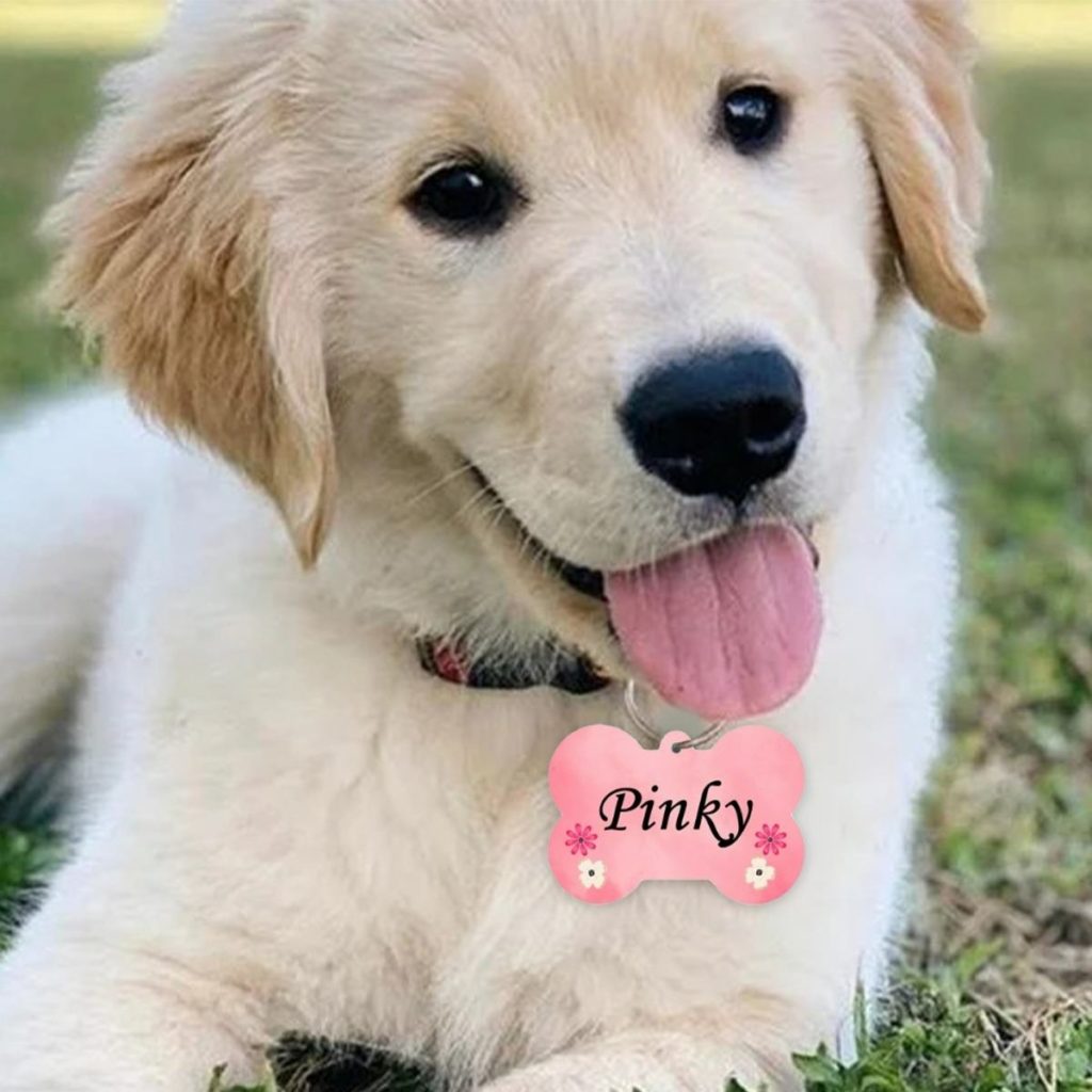 Customized Name Tags For Dogs Name Tags For Dogs Homafy