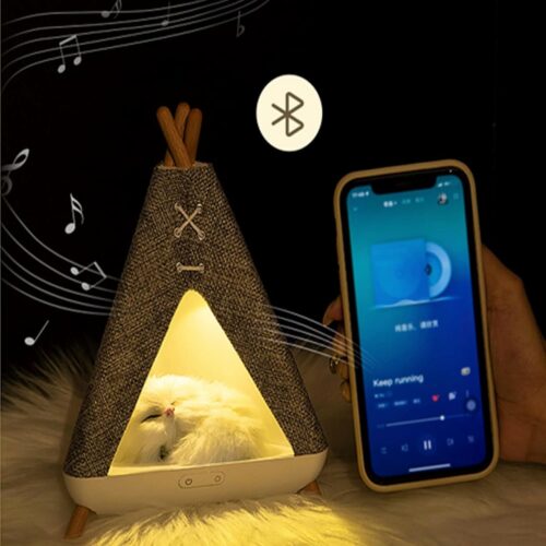 Bluetooth speaker night light (1)