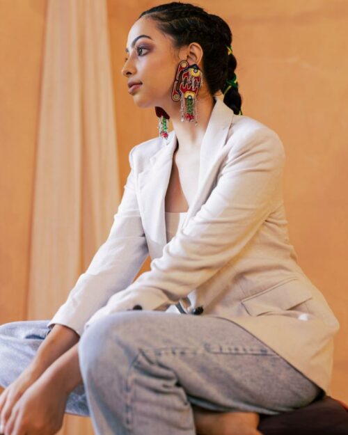 Elephant Embroidered Earrings