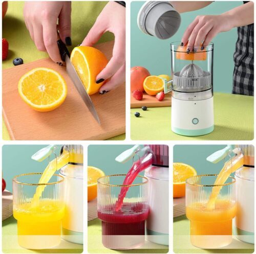 Portable Electric Juicer (1)